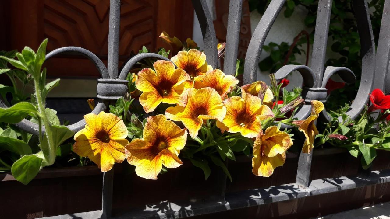 Appartamento Haus Ruetzbach Neustift im Stubaital Esterno foto